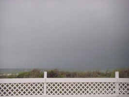 Picture 7