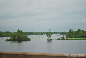 Picture 11