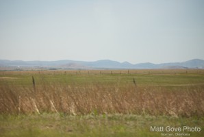 Picture 116