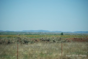Picture 117