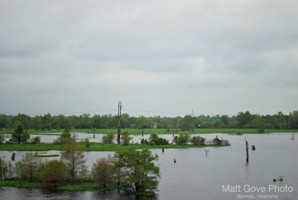 Picture 12