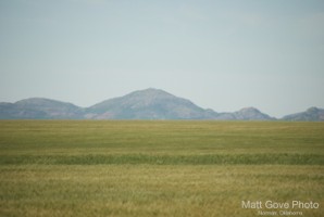 Picture 134