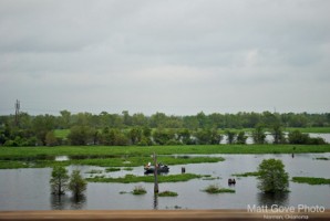 Picture 14