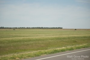 Picture 142
