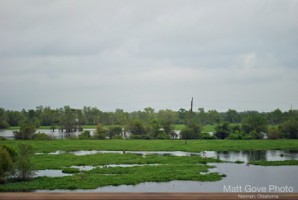 Picture 15