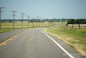 Picture 181