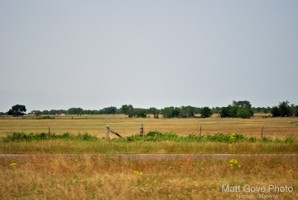 Picture 21