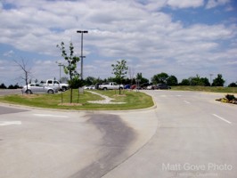 Picture 224