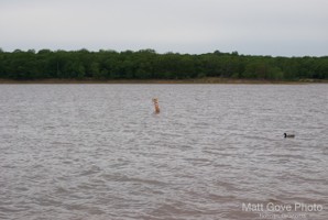 Picture 28