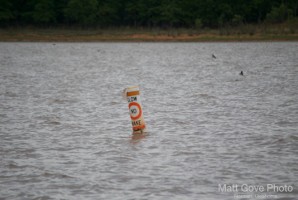 Picture 29