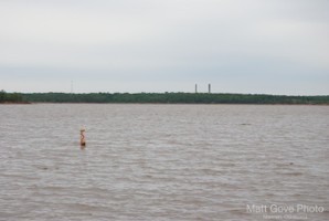 Picture 31
