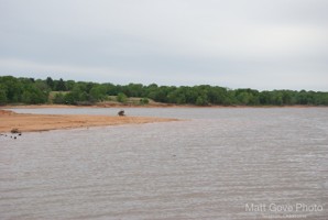 Picture 33