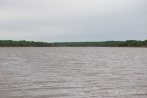 Picture 35