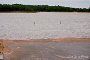 Picture 37