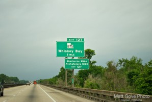 Picture 4