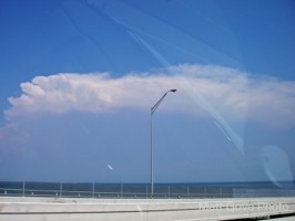 Picture 1