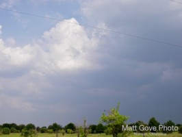 Picture 12