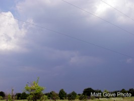 Picture 14