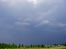 Picture 22