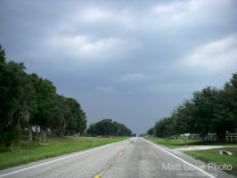 Picture 25