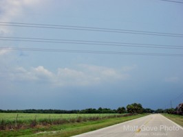 Picture 4