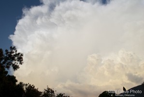 Picture 1