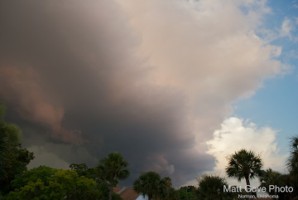 Picture 16
