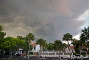 Picture 21