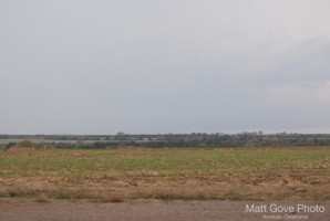 Picture 14