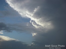 Picture 24