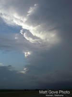 Picture 26