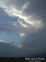 Picture 27