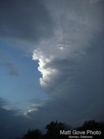 Picture 28