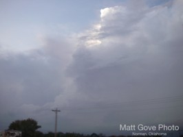 Picture 29