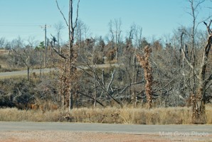 Picture 13