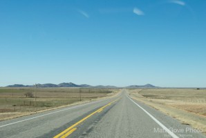 Picture 115