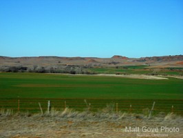 Picture 114