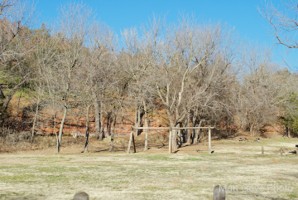 Picture 33