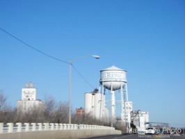 Picture 7