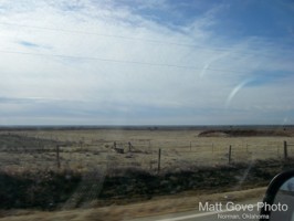 Picture 11