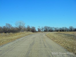 Picture 127