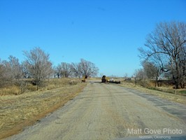 Picture 128