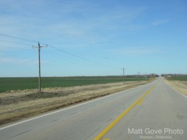 Picture 14