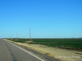 Picture 172