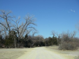 Picture 50