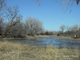 Picture 51