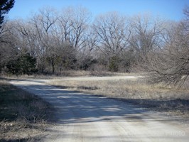 Picture 52