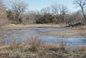 Picture 54