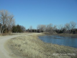Picture 56