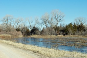 Picture 57